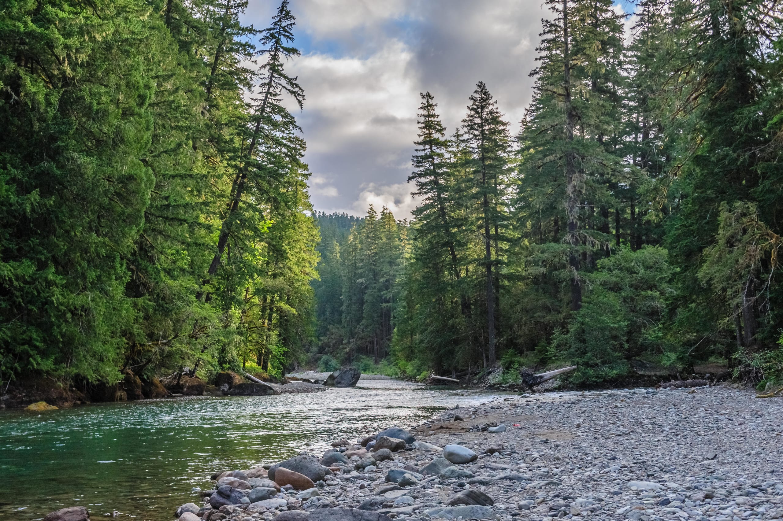 How and Where to Fish For Sea Run Cutthroat Trout Northwest Fly