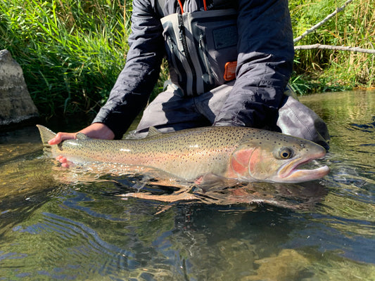 7 Essential Fishing Waders Tips for Beginners in the Northwest