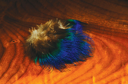 Hareline Blue Peacock Feather